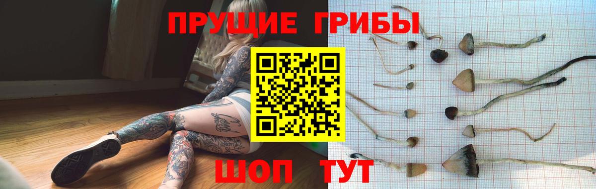 Псилоцибиновые грибы GOLDEN TEACHER Кизилюрт
